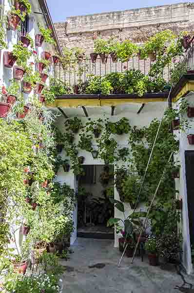 Córdoba 182 - barrio san Basilio - Patios del Alcazar Viejo - calle San Basilio 14.jpg